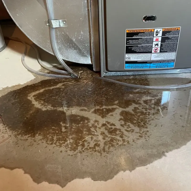 Pipe Burst and Leak Restoration in Coal Creek, CO